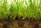 Cicconesub-soil-drainage-6.jpg; ?>